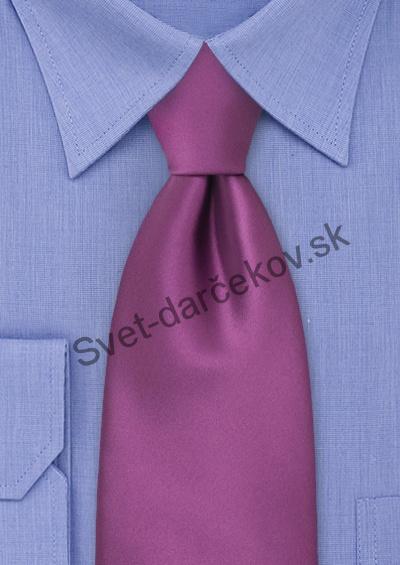 Moulins fialová kravata