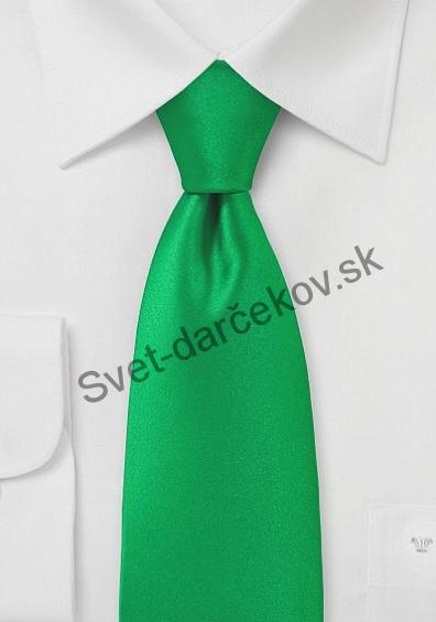 Moulins sýto zelená kravata