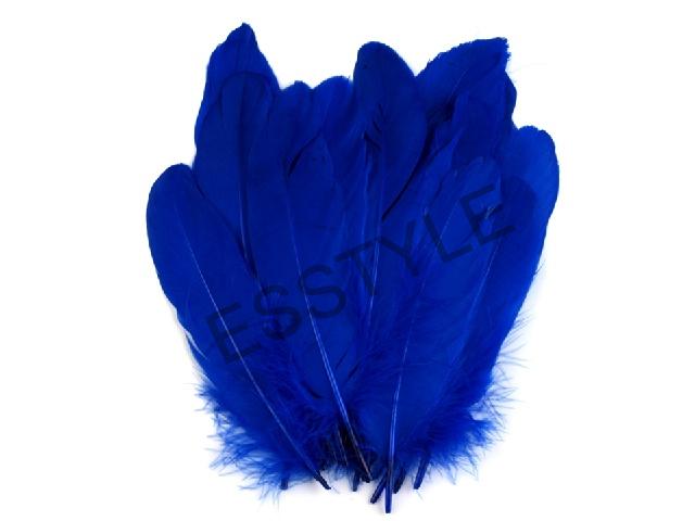 Husacie perie dĺžka 15-21 cm - kobaltová