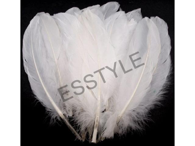 Husacie perie dĺžka 15-21 cm - biela