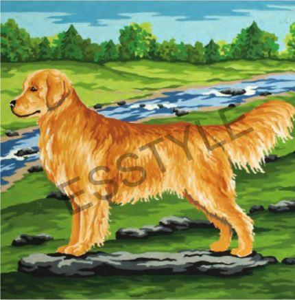 Vyšívacia predloha Zlatý retriever