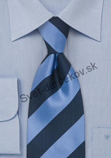 Lighthouse Tmavomodrá kravata s modrým pásikom